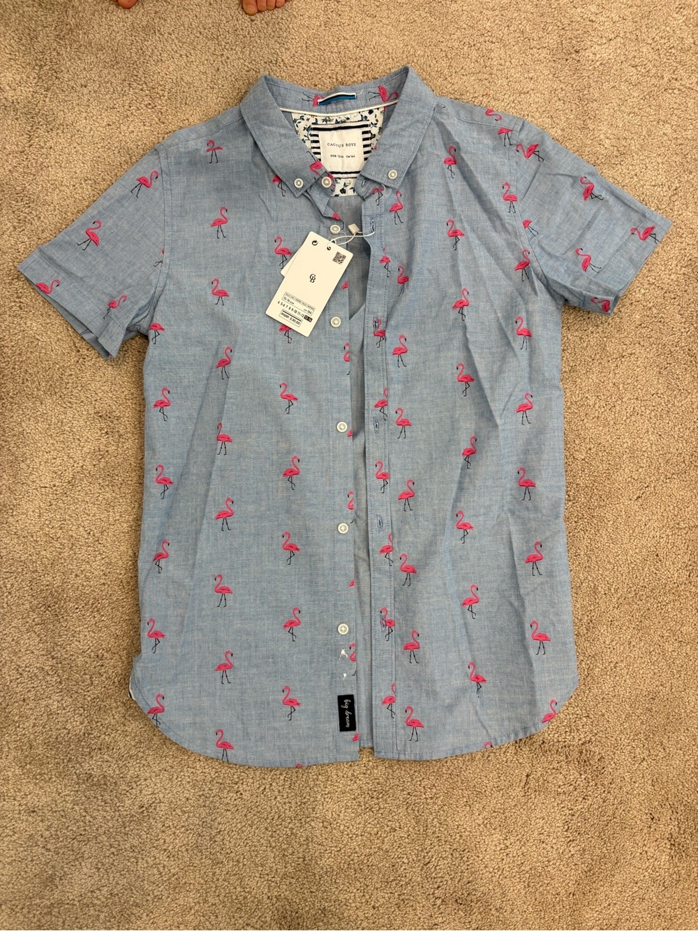 Cactus Light Blue Short-Sleeve Button-Down with Pink Flamingo Print